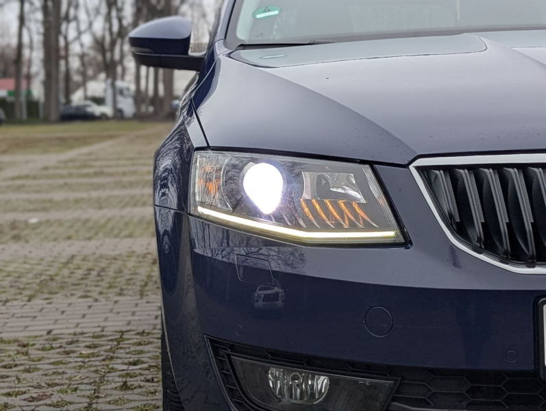 Нові автомобілі Hyundai та офіційний сервіс | Хюндай Мотор Поділля - фото 13